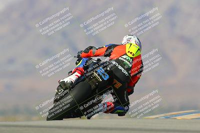 media/Jan-13-2024-SoCal Trackdays (Sat) [[9c032fe5aa]]/Turn 9 Backside (110pm)/